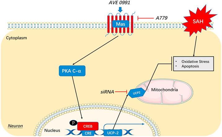 https://cdn.ncbi.nlm.nih.gov/pmc/blobs/36a9/6174866/280ecb9cfcb9/fx1.jpg