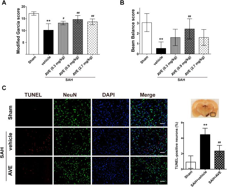 https://cdn.ncbi.nlm.nih.gov/pmc/blobs/36a9/6174866/30d5ab1a99a5/gr3.jpg