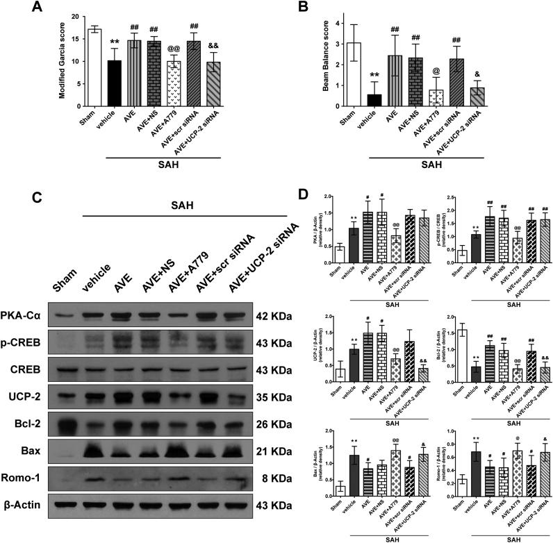 https://cdn.ncbi.nlm.nih.gov/pmc/blobs/36a9/6174866/94dcb8075f3a/gr8.jpg