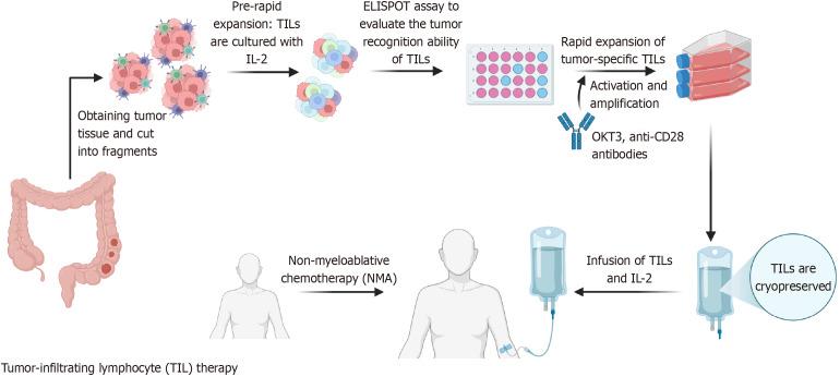 https://cdn.ncbi.nlm.nih.gov/pmc/blobs/36ac/12278228/dbd5c315c760/wjgo-17-7-106723-g002.jpg