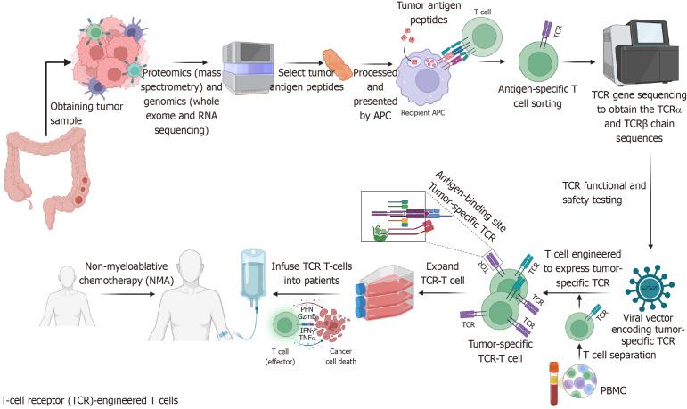 https://cdn.ncbi.nlm.nih.gov/pmc/blobs/36ac/12278228/fa47c7b34cee/wjgo-17-7-106723-g003.jpg