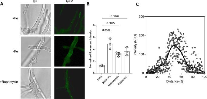 https://cdn.ncbi.nlm.nih.gov/pmc/blobs/36b0/11166925/5357ee35daeb/41467_2024_48592_Fig5_HTML.jpg