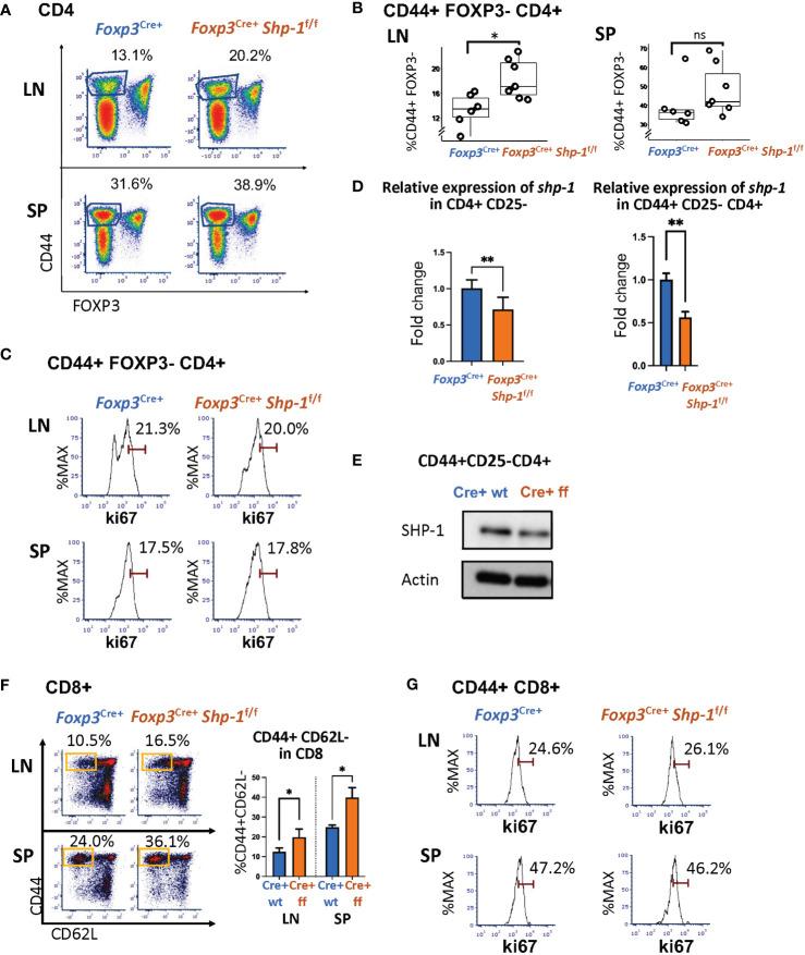 https://cdn.ncbi.nlm.nih.gov/pmc/blobs/36b1/10060847/8301d44949fa/fimmu-14-1139326-g004.jpg