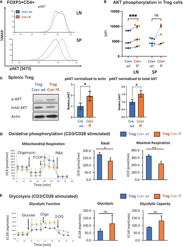 https://cdn.ncbi.nlm.nih.gov/pmc/blobs/36b1/10060847/c1ceb502688c/fimmu-14-1139326-g003.jpg