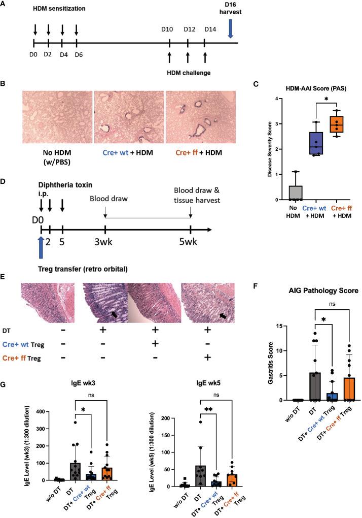 https://cdn.ncbi.nlm.nih.gov/pmc/blobs/36b1/10060847/fcf8959c69ec/fimmu-14-1139326-g007.jpg