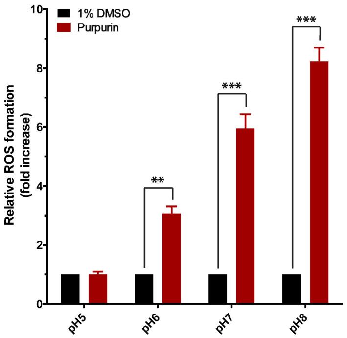https://cdn.ncbi.nlm.nih.gov/pmc/blobs/36b1/10451334/27708ebbfad9/antioxidants-12-01544-g007.jpg