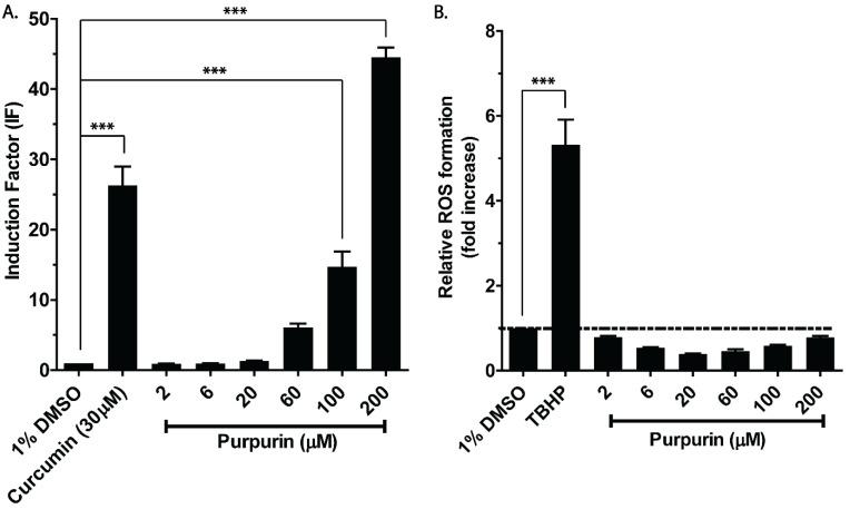 https://cdn.ncbi.nlm.nih.gov/pmc/blobs/36b1/10451334/c2dd71e83573/antioxidants-12-01544-g002.jpg