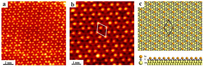 https://cdn.ncbi.nlm.nih.gov/pmc/blobs/36b1/9332180/819207d2a37a/nanomaterials-12-02518-g004.jpg