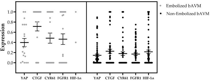 https://cdn.ncbi.nlm.nih.gov/pmc/blobs/36b4/12028238/9b18cc738b35/ijms-26-03791-g003.jpg