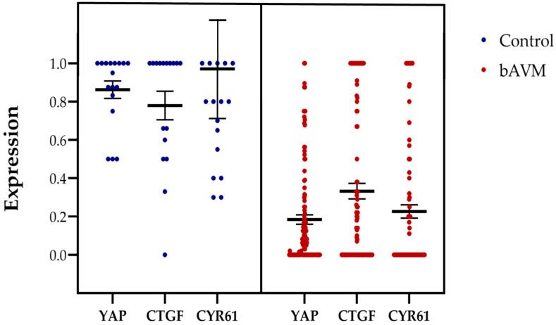 https://cdn.ncbi.nlm.nih.gov/pmc/blobs/36b4/12028238/a55982b720df/ijms-26-03791-g002.jpg