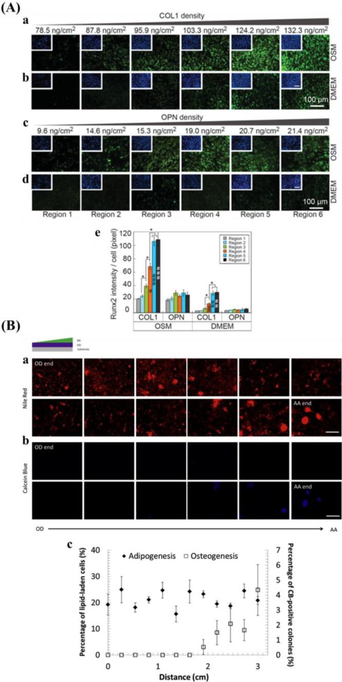 https://cdn.ncbi.nlm.nih.gov/pmc/blobs/36b4/8154331/009a443c5f10/cr0c00752_0016.jpg