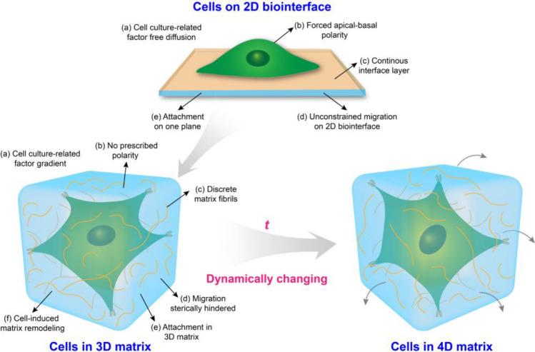 https://cdn.ncbi.nlm.nih.gov/pmc/blobs/36b4/8154331/1d093099a76e/cr0c00752_0003.jpg