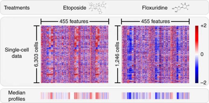 https://cdn.ncbi.nlm.nih.gov/pmc/blobs/36b4/8154331/453748bf8555/cr0c00752_0038.jpg