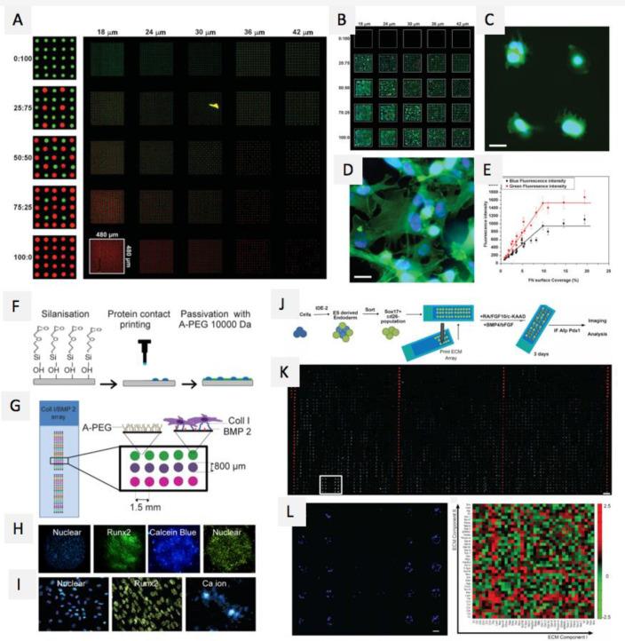 https://cdn.ncbi.nlm.nih.gov/pmc/blobs/36b4/8154331/5c7c149ff024/cr0c00752_0024.jpg
