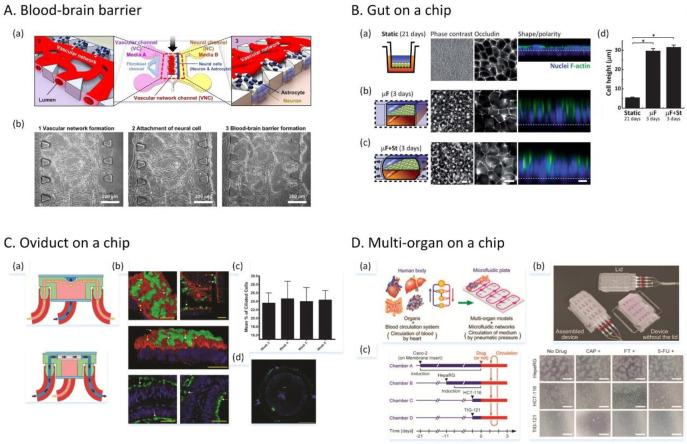 https://cdn.ncbi.nlm.nih.gov/pmc/blobs/36b4/8154331/5cd50e7d8915/cr0c00752_0035.jpg