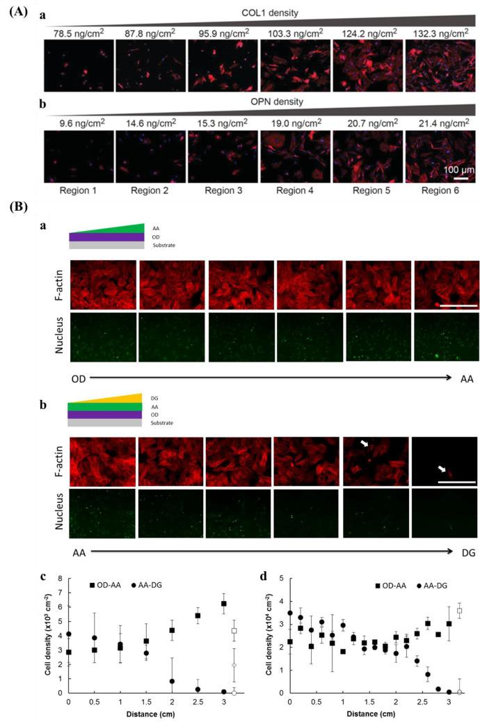 https://cdn.ncbi.nlm.nih.gov/pmc/blobs/36b4/8154331/869426a50216/cr0c00752_0013.jpg