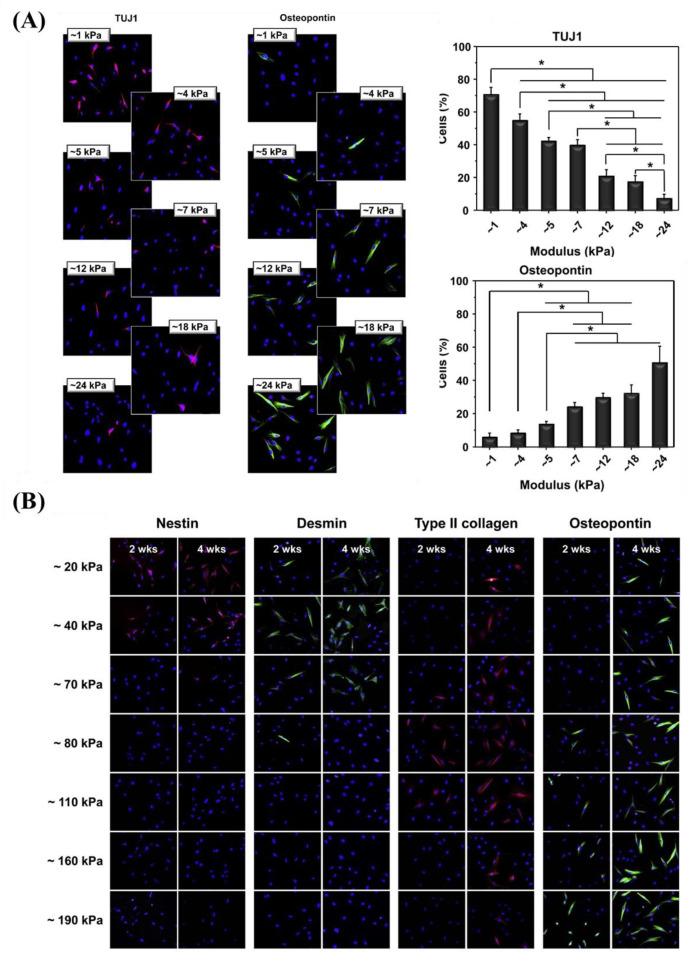 https://cdn.ncbi.nlm.nih.gov/pmc/blobs/36b4/8154331/a3d35a881c70/cr0c00752_0014.jpg