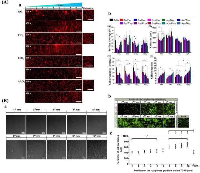 https://cdn.ncbi.nlm.nih.gov/pmc/blobs/36b4/8154331/ccdabbe015a2/cr0c00752_0012.jpg