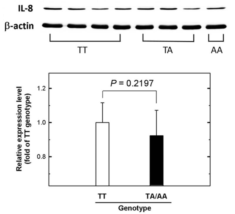 https://cdn.ncbi.nlm.nih.gov/pmc/blobs/36b5/6133569/bccb2d04e316/medi-97-e12135-g007.jpg