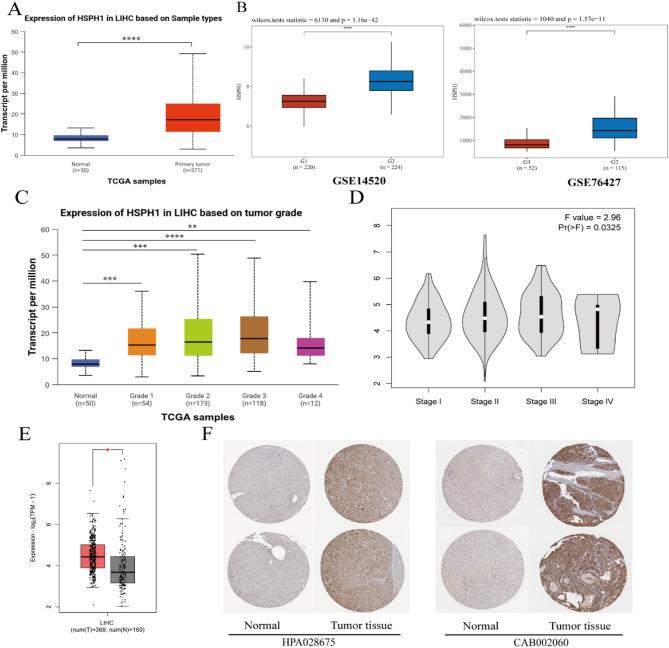 https://cdn.ncbi.nlm.nih.gov/pmc/blobs/36b6/12375714/39a259fed282/41598_2025_16843_Fig2_HTML.jpg