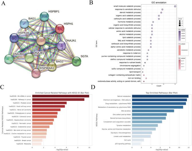 https://cdn.ncbi.nlm.nih.gov/pmc/blobs/36b6/12375714/58b1a934b9fa/41598_2025_16843_Fig4_HTML.jpg
