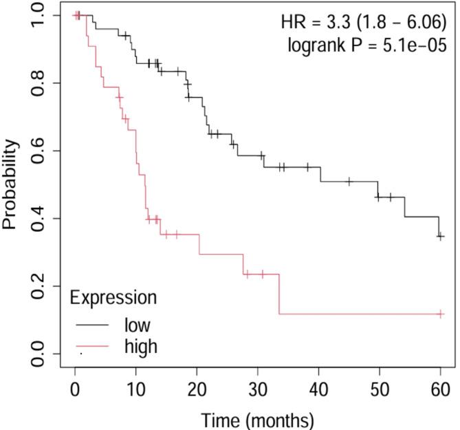 https://cdn.ncbi.nlm.nih.gov/pmc/blobs/36b6/12375714/76c005835a16/41598_2025_16843_Fig7_HTML.jpg