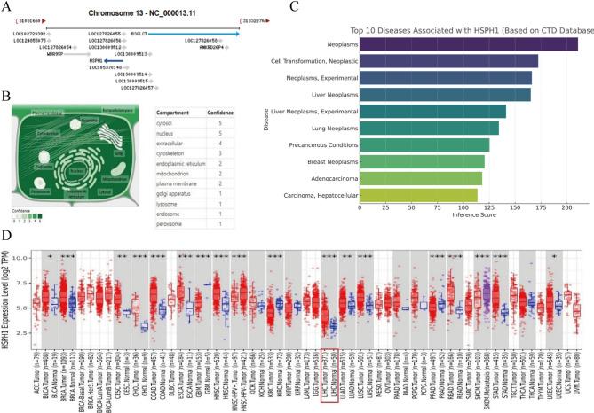 https://cdn.ncbi.nlm.nih.gov/pmc/blobs/36b6/12375714/7c5719def104/41598_2025_16843_Fig1_HTML.jpg
