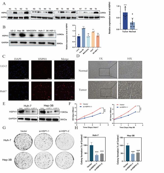 https://cdn.ncbi.nlm.nih.gov/pmc/blobs/36b6/12375714/cd882653d318/41598_2025_16843_Fig6_HTML.jpg