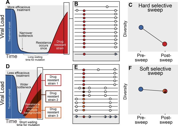 https://cdn.ncbi.nlm.nih.gov/pmc/blobs/36b7/4764592/68e2152ecd22/elife-10670-fig1.jpg