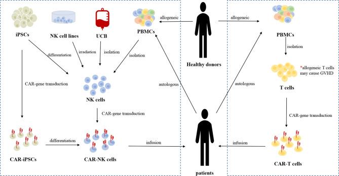 https://cdn.ncbi.nlm.nih.gov/pmc/blobs/36b7/8377427/8399fccd7575/fonc-11-720501-g002.jpg