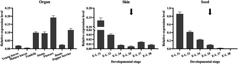 https://cdn.ncbi.nlm.nih.gov/pmc/blobs/36b8/9449495/8a1d65bfd372/fpls-13-1007895-g005.jpg
