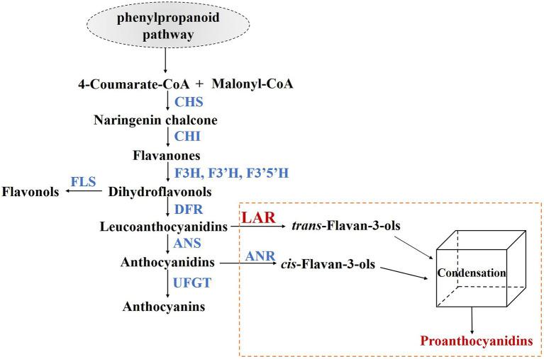 https://cdn.ncbi.nlm.nih.gov/pmc/blobs/36b8/9449495/f8163a4fa1a7/fpls-13-1007895-g001.jpg