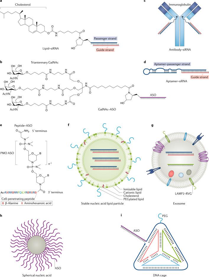 https://cdn.ncbi.nlm.nih.gov/pmc/blobs/36be/7419031/5ea7085bc2c5/41573_2020_75_Fig4_HTML.jpg
