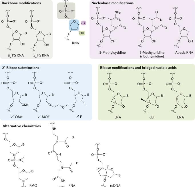 https://cdn.ncbi.nlm.nih.gov/pmc/blobs/36be/7419031/9130dd241a80/41573_2020_75_Fig3_HTML.jpg