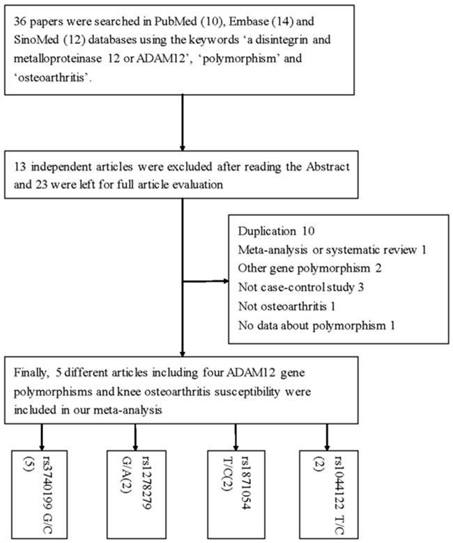 https://cdn.ncbi.nlm.nih.gov/pmc/blobs/36bf/5652809/2fe1a9fbf4c5/oncotarget-08-77710-g001.jpg
