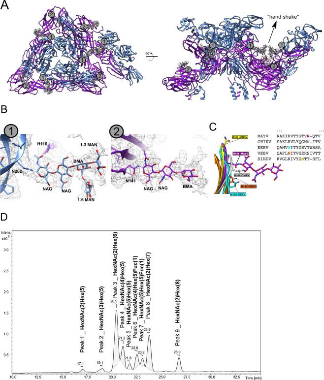 https://cdn.ncbi.nlm.nih.gov/pmc/blobs/36c0/8144435/30aedd5a7de3/41467_2021_23400_Fig4_HTML.jpg