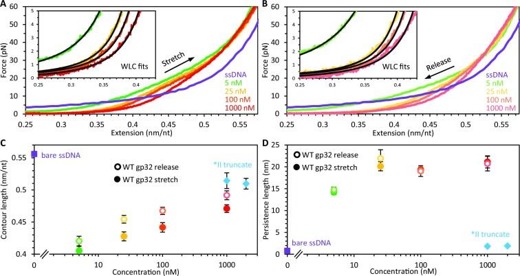 https://cdn.ncbi.nlm.nih.gov/pmc/blobs/36c1/10484735/e4d4ceb2445d/gkad595fig3.jpg