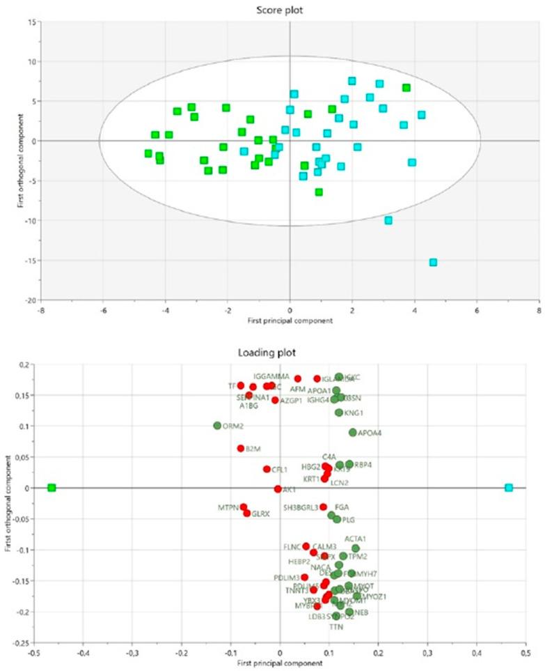 https://cdn.ncbi.nlm.nih.gov/pmc/blobs/36c1/9856129/a893a59e76d6/biomedicines-11-00206-g002.jpg