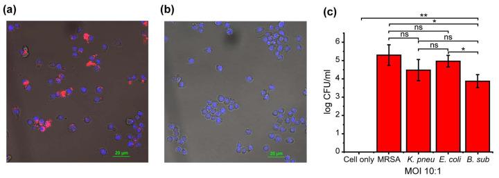 https://cdn.ncbi.nlm.nih.gov/pmc/blobs/36c2/11352223/77695bf2d842/biosensors-14-00360-g004.jpg