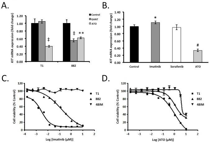 https://cdn.ncbi.nlm.nih.gov/pmc/blobs/36c2/5346634/875bf73406ed/oncotarget-07-78226-g005.jpg
