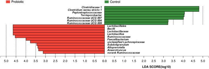 https://cdn.ncbi.nlm.nih.gov/pmc/blobs/36c2/6117384/a47d53d1baf8/fmicb-09-01953-g006.jpg