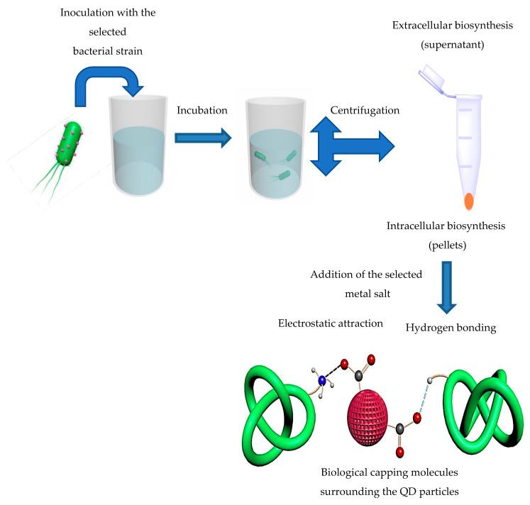 https://cdn.ncbi.nlm.nih.gov/pmc/blobs/36c2/7582318/3889a5e90a85/molecules-25-04486-g003.jpg