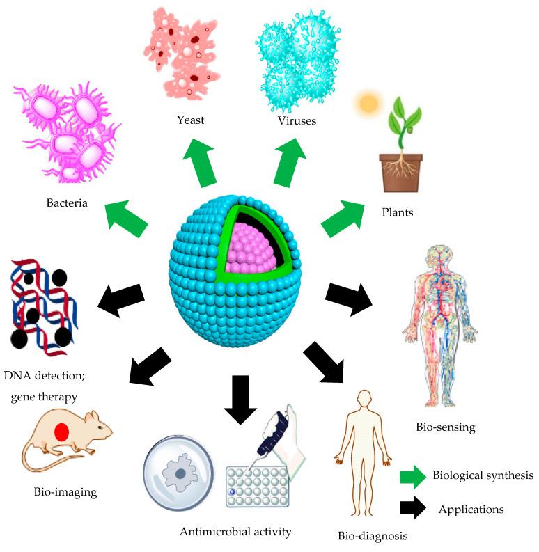 https://cdn.ncbi.nlm.nih.gov/pmc/blobs/36c2/7582318/3d62fb32bf23/molecules-25-04486-g004.jpg