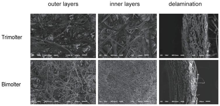 https://cdn.ncbi.nlm.nih.gov/pmc/blobs/36c2/7693878/bc7fc7ead20a/polymers-12-02537-g003.jpg