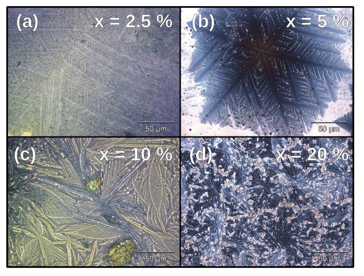 https://cdn.ncbi.nlm.nih.gov/pmc/blobs/36c2/8305750/e07828c2e343/nanomaterials-11-01654-g002.jpg