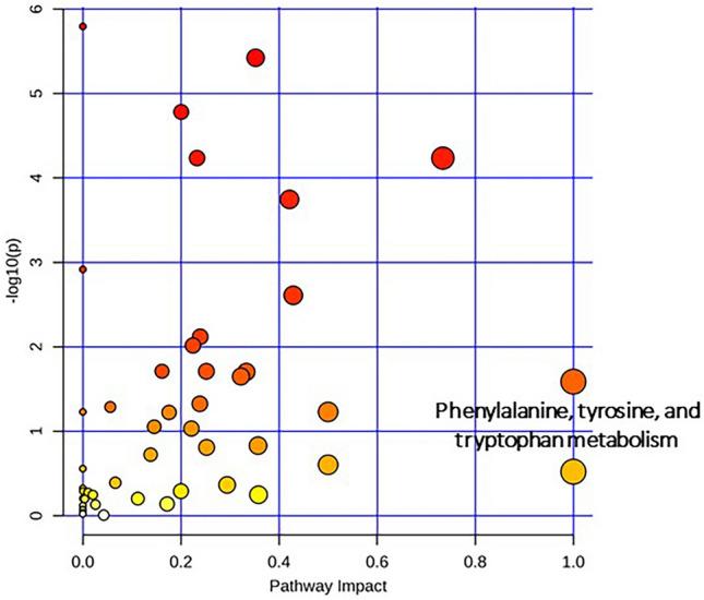 https://cdn.ncbi.nlm.nih.gov/pmc/blobs/36c4/10663518/1a3da9b96031/41598_2023_47558_Fig6_HTML.jpg