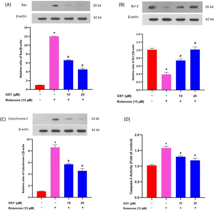 https://cdn.ncbi.nlm.nih.gov/pmc/blobs/36c4/10663518/b1ee5b2c1337/41598_2023_47558_Fig3_HTML.jpg