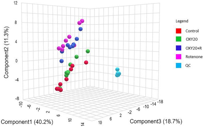 https://cdn.ncbi.nlm.nih.gov/pmc/blobs/36c4/10663518/cdfaa638d433/41598_2023_47558_Fig4_HTML.jpg