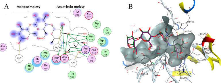 https://cdn.ncbi.nlm.nih.gov/pmc/blobs/36c5/10910856/dfdf00a25dfd/d4ra01060d-f5.jpg