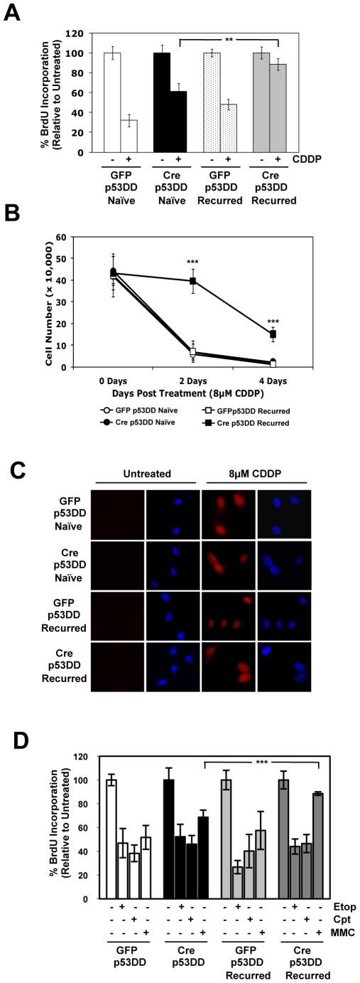 https://cdn.ncbi.nlm.nih.gov/pmc/blobs/36cb/2796719/3221955435b4/pone.0008558.g006.jpg